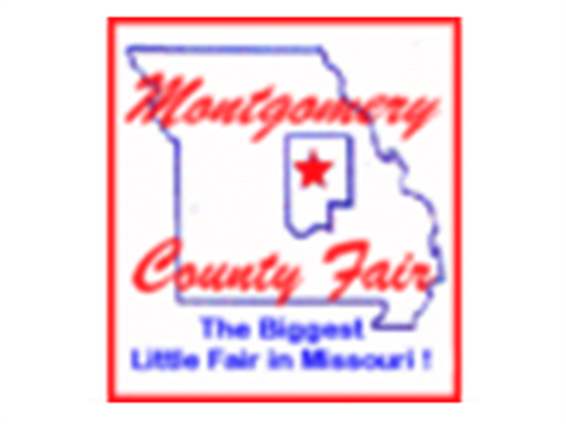 Logo for New State Training 4HO F2F