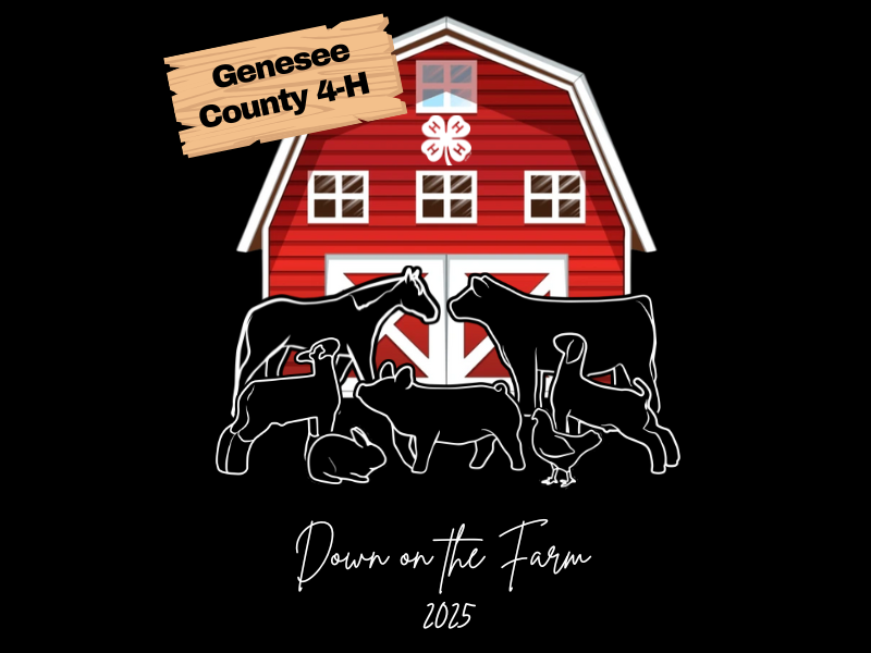 Fair Logo