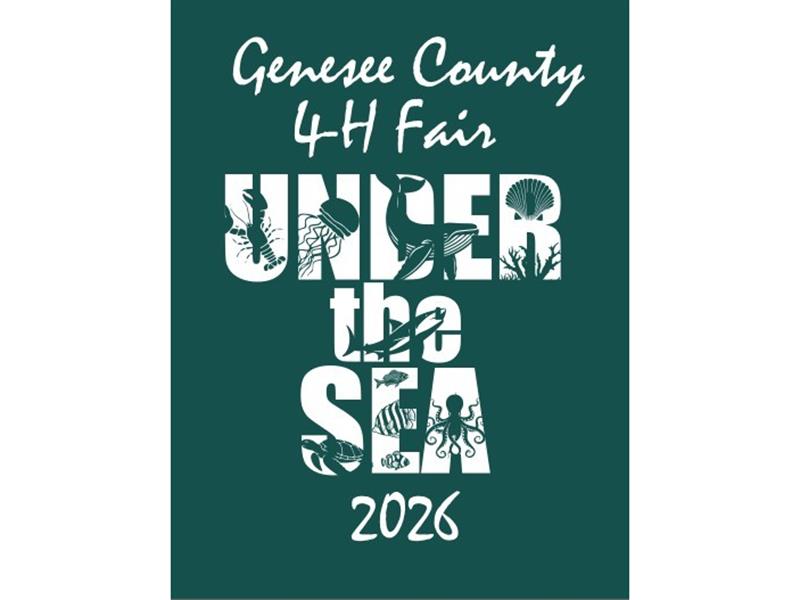 Fair Logo